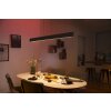 Philips Hue White & Color Ambiance Ensis Lampada a Sospensione LED Nero, 2-Luci, Cambia colore