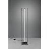 Trio-Leuchten Edge Lampada da terra LED Nero, 1-Luce