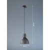 Fischer-Honsel Thor Lampada a Sospensione Nero, 1-Luce