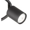 Fischer-Honsel Vano Plafoniera Nero, 3-Luci