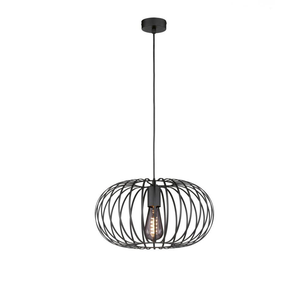 Fischer-Honsel Mocca Lampadario a sospensione Nero, 1-Luce