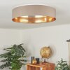 Elsa Plafoniera LED Bianco, 1-Luce