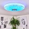 Cham Plafoniera LED Cromo, Bianco, 2-Luci, Telecomando, Cambia colore