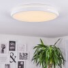 Seewen Plafoniera LED Bianco, 1-Luce, Telecomando