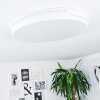 Seewen Plafoniera LED Bianco, 1-Luce, Telecomando