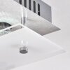 Liestal Plafoniera LED Nichel opaco, 1-Luce