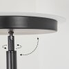 Busswil Lampada da terra LED Nero, 2-Luci