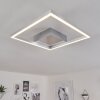 Buren Plafoniera LED Nichel opaco, 1-Luce