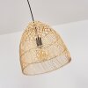 Zofingen Lampadario a sospensione Nero, 1-Luce