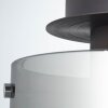 Plafoniera Brilliant Beth Nero, 1-Luce