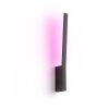 Philips Hue White & Color Ambiance Liane Applique LED Nero, 1-Luce, Cambia colore