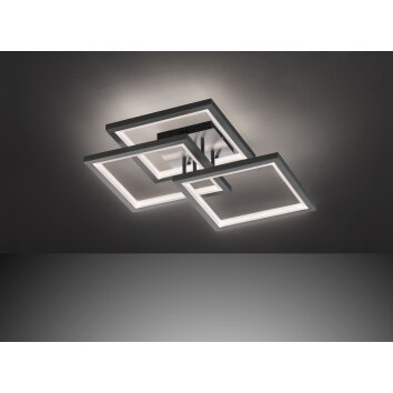 Wofi-Leuchten MURIEL Plafoniera LED Grigio, 1-Luce