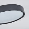 Nexo Plafoniera LED Nero, 1-Luce