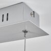 Bernese Lampada a Sospensione LED Nichel opaco, 3-Luci