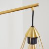 Cenova Applique Ottone, 1-Luce