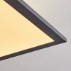 Salmi Plafoniera LED Nero, Bianco, 1-Luce