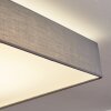 Tise Plafoniera LED Bianco, 1-Luce