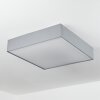 Tise Plafoniera LED Bianco, 1-Luce