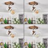 Orny Plafoniera Marrone, Bianco, 1-Luce