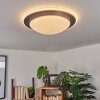 Wil Plafoniera LED Antracite, Bianco, 1-Luce