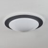 Wil Plafoniera LED Antracite, Bianco, 1-Luce