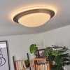 Wil Plafoniera LED Antracite, Bianco, 1-Luce