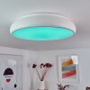 Rhone Plafoniera LED Bianco, 1-Luce, Cambia colore