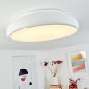 Rhone Plafoniera LED Bianco, 1-Luce, Cambia colore