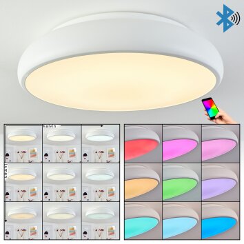 Rhone Plafoniera LED Bianco, 1-Luce, Cambia colore