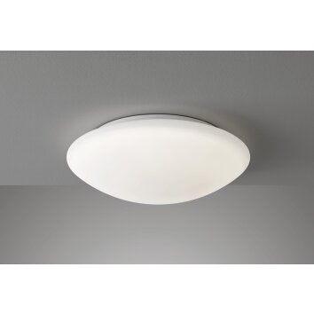 Fischer-Honsel Clara Plafoniera LED Bianco, 1-Luce