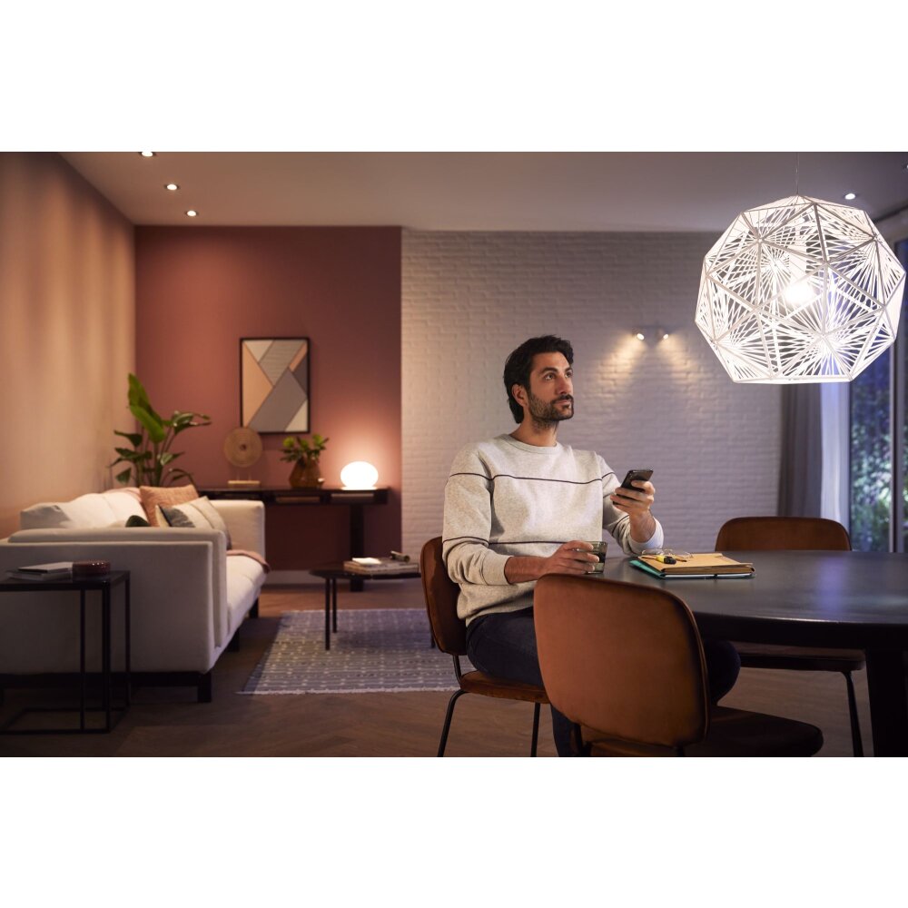 Philips Hue White LED E27 9 Watt 2700 Kelvin 800 Lumen 8719514319028 lampada
