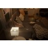 Philips Hue White LED E14 5,7 Watt 2700 Kelvin 470 Lumen