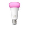 Philips Hue White & Color Ambiance LED E27 15 Watt 2200 - 6500 Kelvin 1200 Lumen