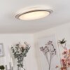 Sapioris Plafoniera LED Argento, 1-Luce