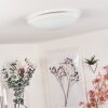 Worben Plafoniera LED Bianco, 1-Luce