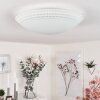 Worben Plafoniera LED Bianco, 1-Luce
