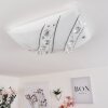 Buochs Plafoniera LED Bianco, 1-Luce