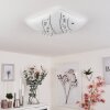 Buochs Plafoniera LED Bianco, 1-Luce