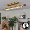 Rodeche Plafoniera LED Ottone, 1-Luce