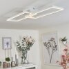 Hyacinthe Plafoniera LED Bianco, 1-Luce