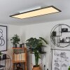 Wilderswil Plafoniera LED Bianco, 1-Luce