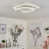 Frederick Plafoniera LED Cromo, Bianco, 1-Luce