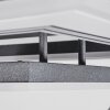 Kolo Plafoniera LED Nero, Bianco, 1-Luce