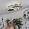 Kolo Plafoniera LED Nero, Bianco, 1-Luce