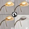 Biot Lampada da terra LED Ottone antico, 2-Luci