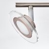 Marsen Plafoniera LED Nichel opaco, 4-Luci, Telecomando, Cambia colore