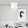 Brilliant Esher Plafoniera Argento, 1-Luce