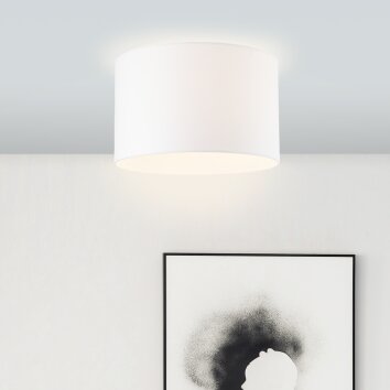 Brilliant Esher Plafoniera Argento, 1-Luce