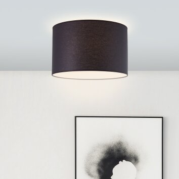 Brilliant Esher Plafoniera Argento, 1-Luce