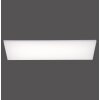 Paul Neuhaus FRAMELESS Plafoniera LED Bianco, 1-Luce, Telecomando, Cambia colore